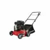 Scarificateur à Essence GC-SC 2240 P EINHELL