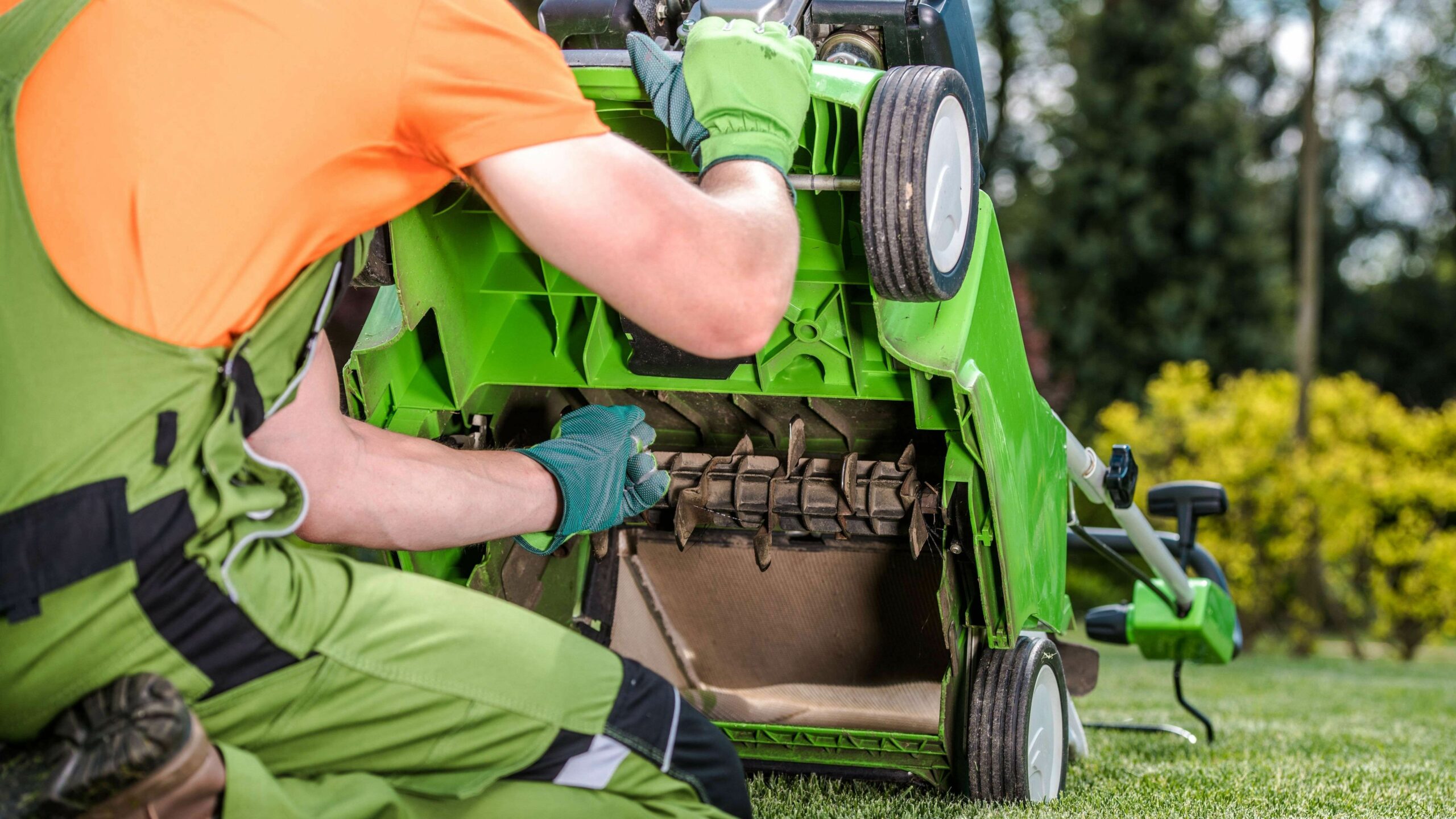 Scarificateur Soldes Boutique -Scarificateur Soldes Boutique 9ae4962ae1d3 scaled